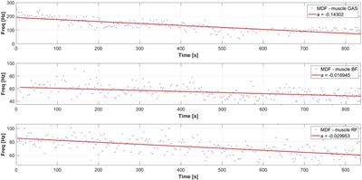 Quantitative assessment of muscle fatigue during rowing ergometer exercise using wavelet analysis of surface electromyography (sEMG)